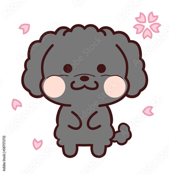 Obraz 桜を見上げる黒いトイプードル