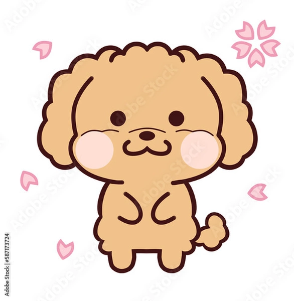 Obraz 桜を見上げる茶色いトイプードル