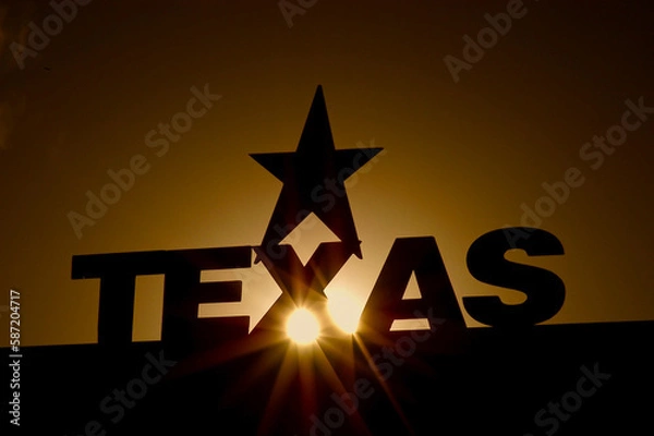 Obraz Texas Sigin with Lone Star