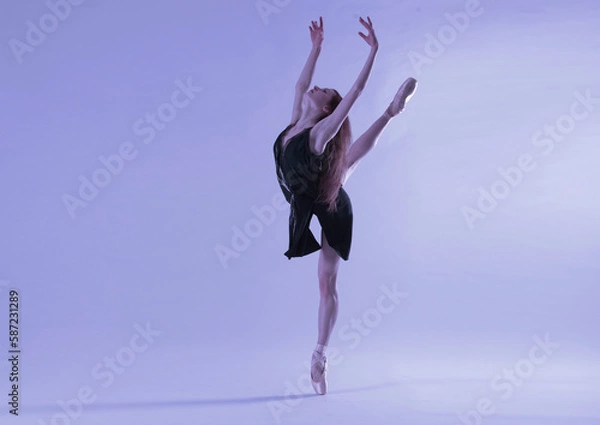 Obraz dancer in studio