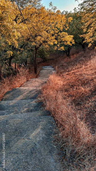 Obraz path in autumn