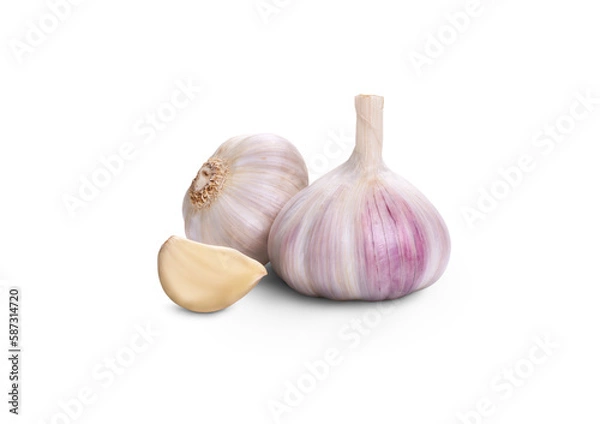Obraz A whole fresh garlic head and clove segment isolated against a transparent background.