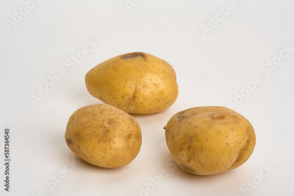 Obraz yellow potatoes isolated on white 