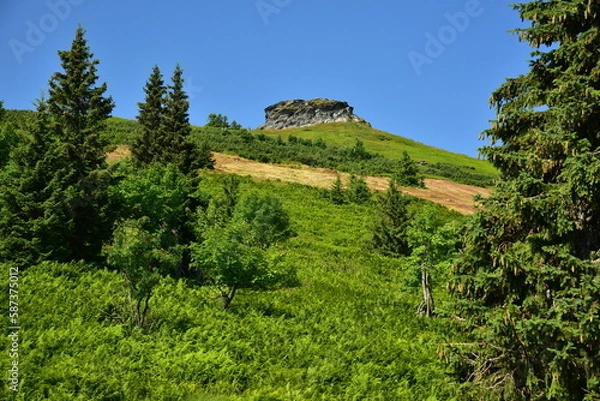 Obraz Peter´s stones Jeseniky summer rock