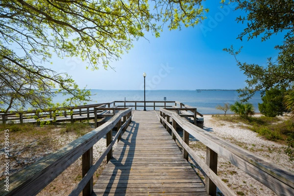 Fototapeta Oaks by the bay dune walkover