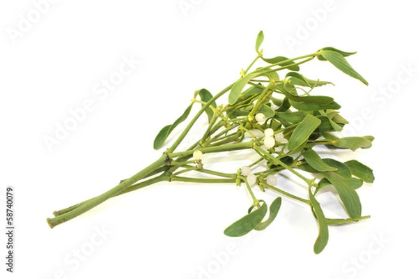 Obraz Mistelzweig mit Beeren