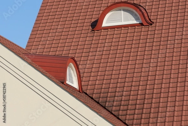 Obraz 旧国立駅舎の屋根