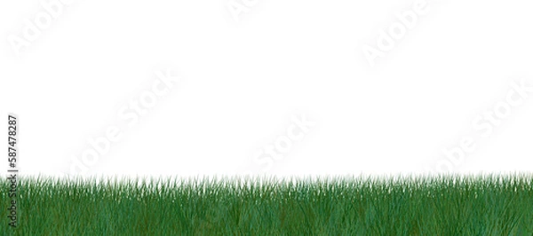 Fototapeta grass against white background 