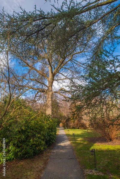 Obraz road in the park