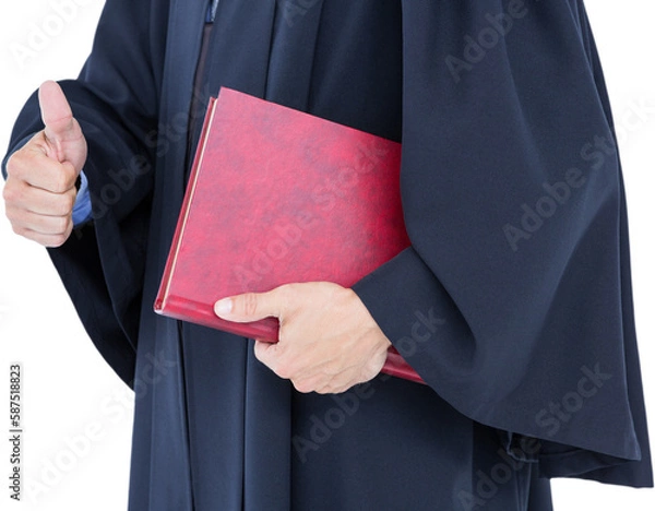 Fototapeta  Happy handsome lawyer holding labor code