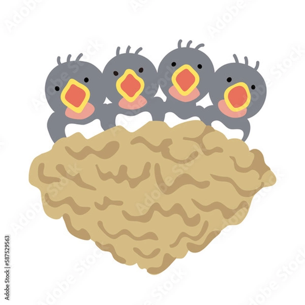 Fototapeta ツバメのヒナ(赤ちゃん)のイラスト