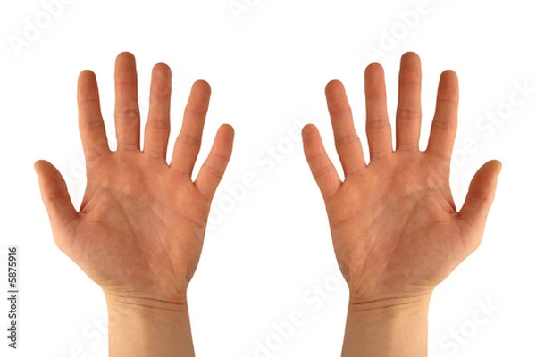 Obraz Hands with six fingers