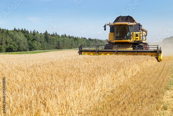 Obraz Harvesting with combines