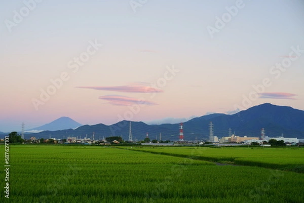 Fototapeta 日の出前