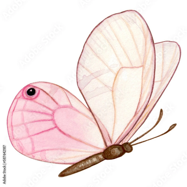 Obraz Watercolor hand drawn butterfly