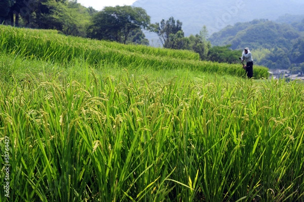 Fototapeta Ride Terraces-2