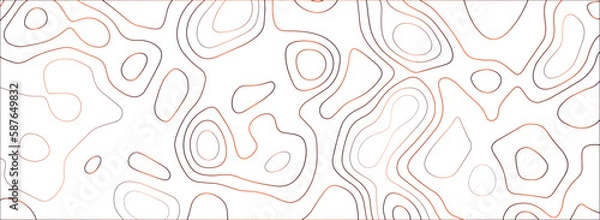 Fototapeta Topographic map background concept. Vector abstract illustration. Geography concept. The stylized height of the topographic map contour in colorful lines and contours on gray background.