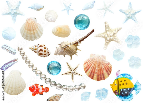 Fototapeta 切り抜き透過素材セットー夏の素材や貝殻など