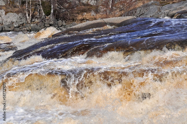 Fototapeta Rapids in spring