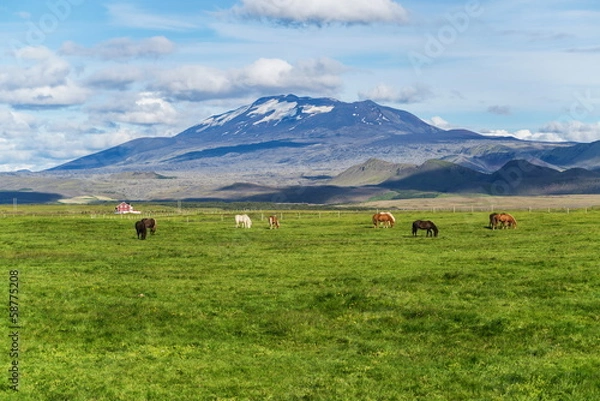 Fototapeta Hekla