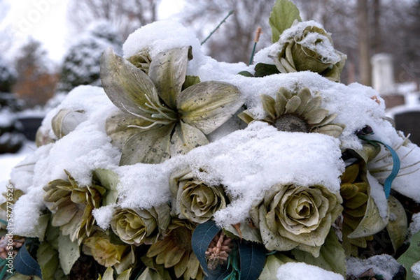 Obraz Fleurs mortes gelées par le froid et la neige
