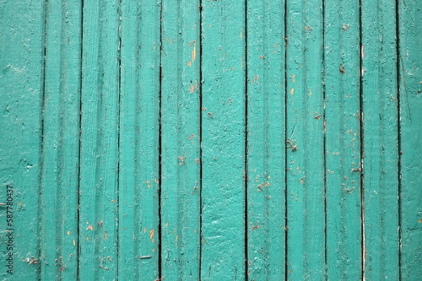 Obraz green wood texture