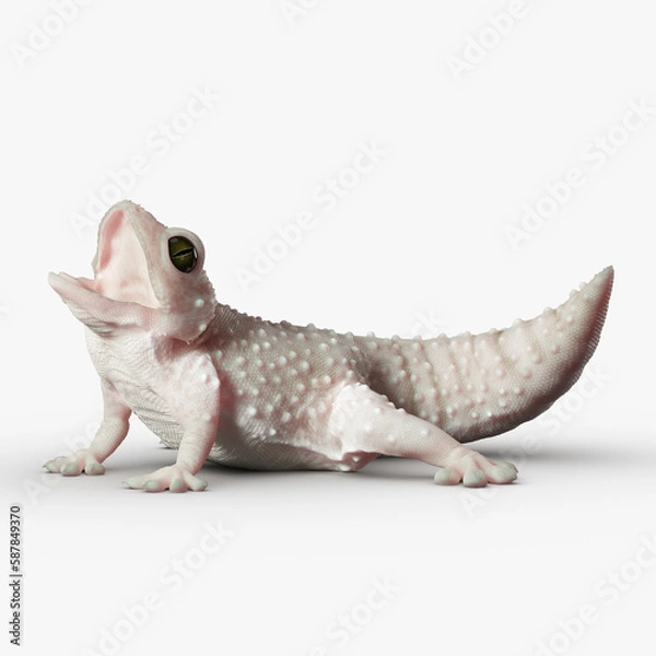 Obraz Gecko Reptile 3D CGI Render