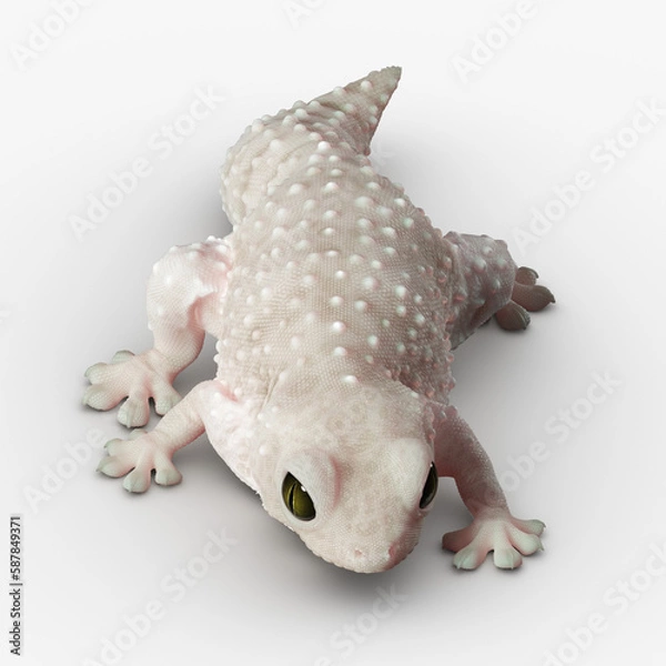 Obraz Gecko Reptile 3D CGI Render