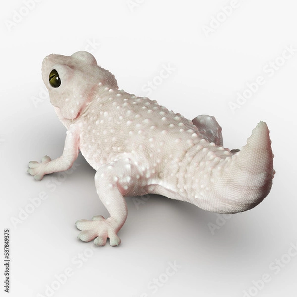Obraz Gecko Reptile 3D CGI Render