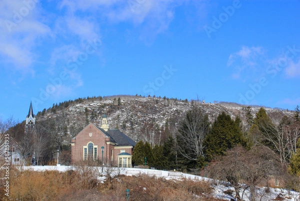 Fototapeta mountain library