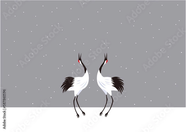 Obraz 湿原の雪の中で求愛ダンスをする冬のタンチョウのつがい