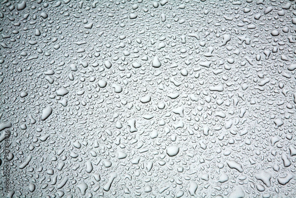 Obraz raindrops on the bonnet
