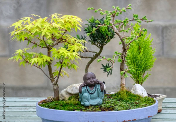 Obraz Foret de bonsai