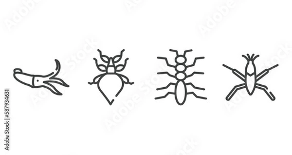 Fototapeta insects outline icons set. thin line icons sheet included squid, leaf insect, tree lobster, pond skater vector.