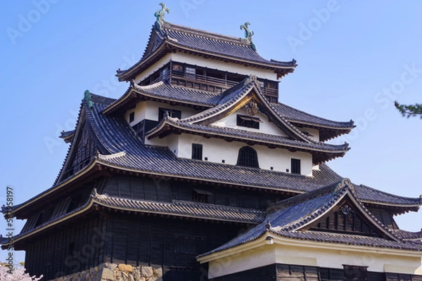 Fototapeta 松江城