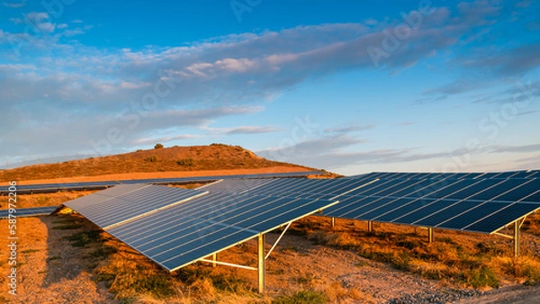 Fototapeta Suburban operating solar panel farm at sunset in Adelaide, South Australia