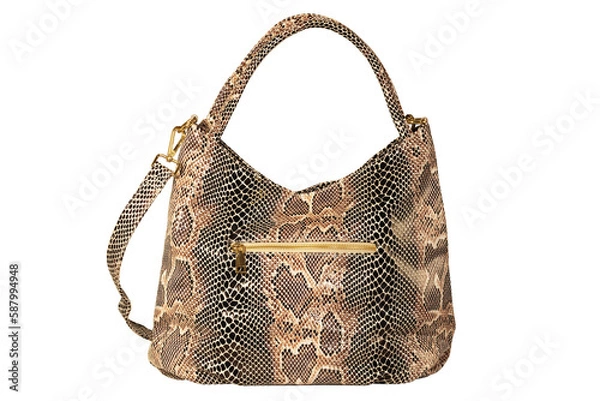 Obraz Isolate of a women's bag with a python skin