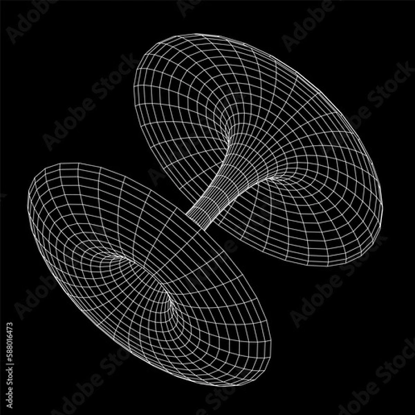 Obraz Wormhole tunnel mesh objects. Network wireframe low poly mesh vector illustration