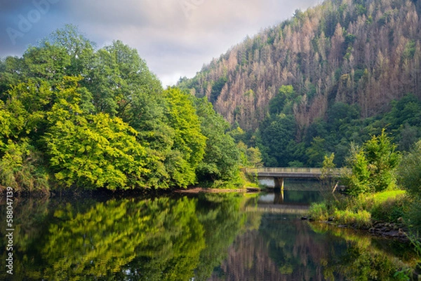 Obraz lake in the forest with a bridge