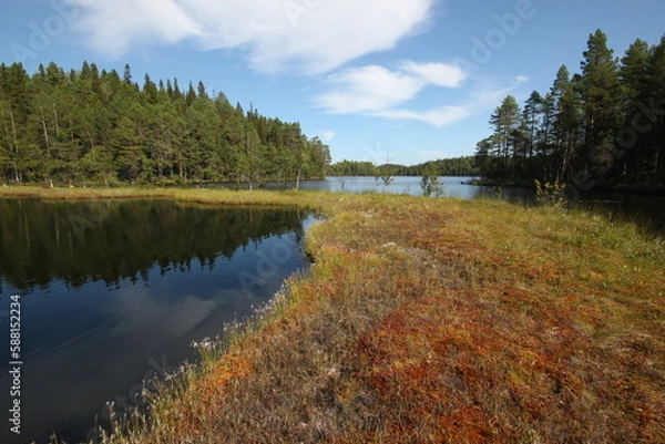 Obraz autumn landscape with lake