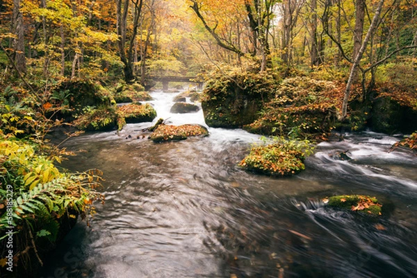 Obraz 紅葉の奥入瀬渓流