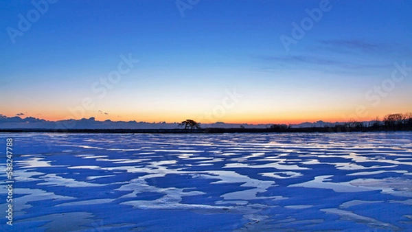 Fototapeta 日の出前の一本松（別海町）