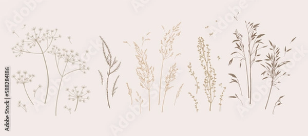 Fototapeta Set with meadow herbs. Botanical collection with dried plants. Earth tones. Vector illustration. Sketch style.