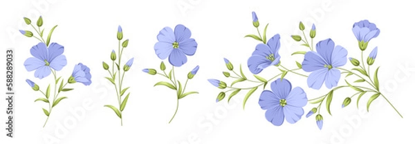 Obraz Set of differents flower linen on white background. 
