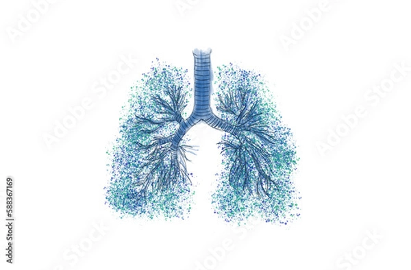 Fototapeta Bronchial tree (respiratory tree)  multiple-branched trachea, bronchi and lungs. Pulmonary and respiratory medicine illustration. Hand drawing with gouache and paint sprinkles isolated white.