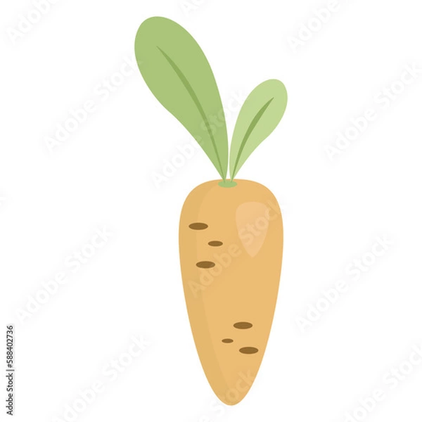 Fototapeta One cute carrot drawn in a simple flat style. Vector illustration hand drawn. Isolated on white background. Cartoon character. Universal template for your design. For use in your design, icon, logo