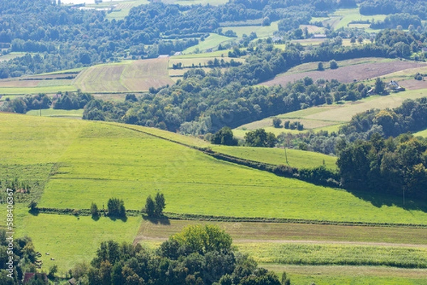 Fototapeta panorama łąk 