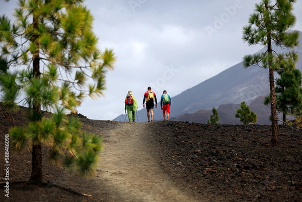 Obraz Group of friends hiking in Tenerife with a volcano in the background.