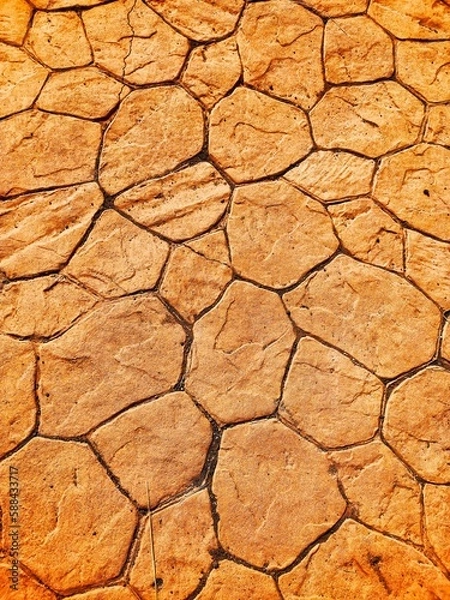 Obraz dry cracked earth