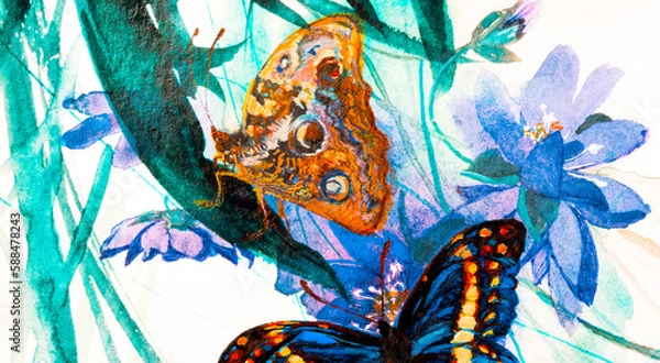 Fototapeta Butterflies and a flower closeup, watercolor on white background.